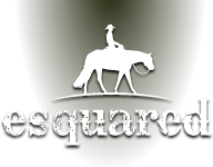 ESquared Equine - Michael Kovach, San Diego Pleasure Horse Trainer