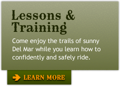 San Diego, California Western Pleasure Horse Training